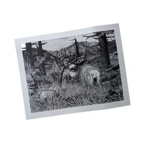 VTG 1991 David Knott Lithograph Art Print Signed Numbered Buck Forest Mountains